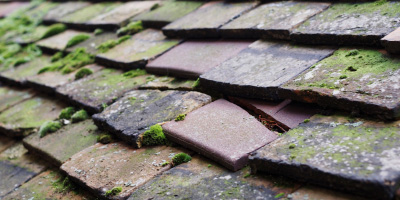 Congresbury roof repair costs